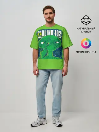 Мужская футболка оверсайз / Blink-182