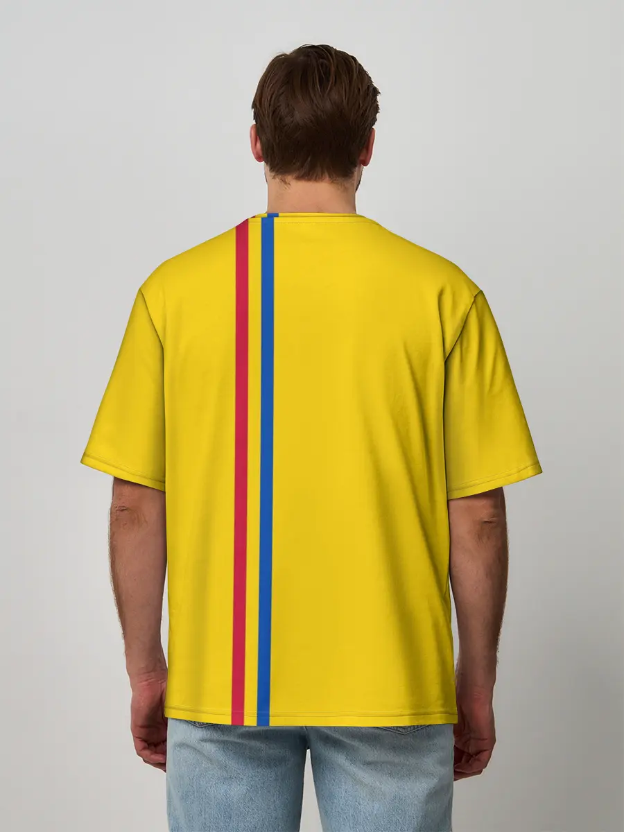 Мужская футболка оверсайз / Молдавия, лента с гербом