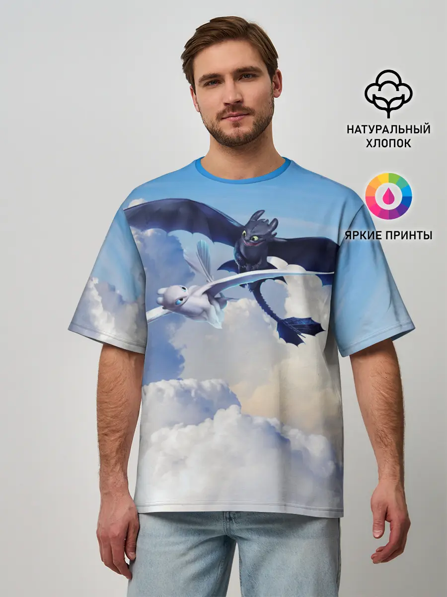 Мужская футболка оверсайз / Night Fury