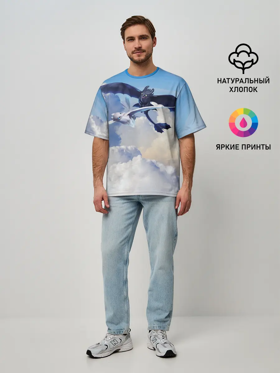 Мужская футболка оверсайз / Night Fury