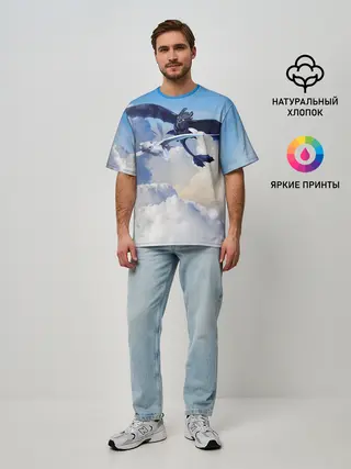 Мужская футболка оверсайз / Night Fury