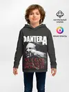 Детское худи / PANTERA VULGAR OF POWER