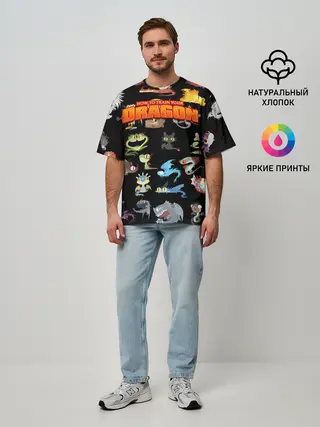 Мужская футболка оверсайз / How to Train Your Dragon