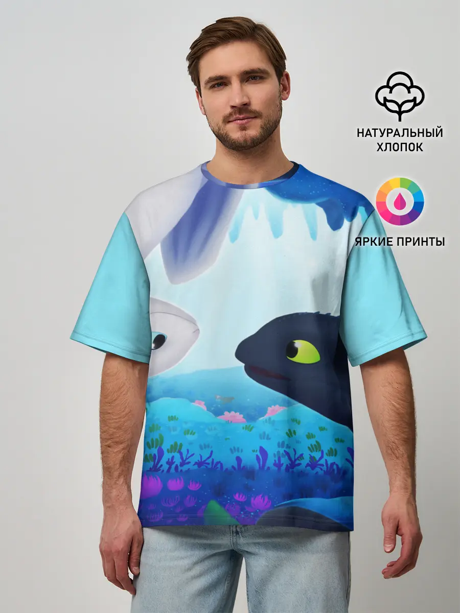 Мужская футболка оверсайз / Приручить Дракона