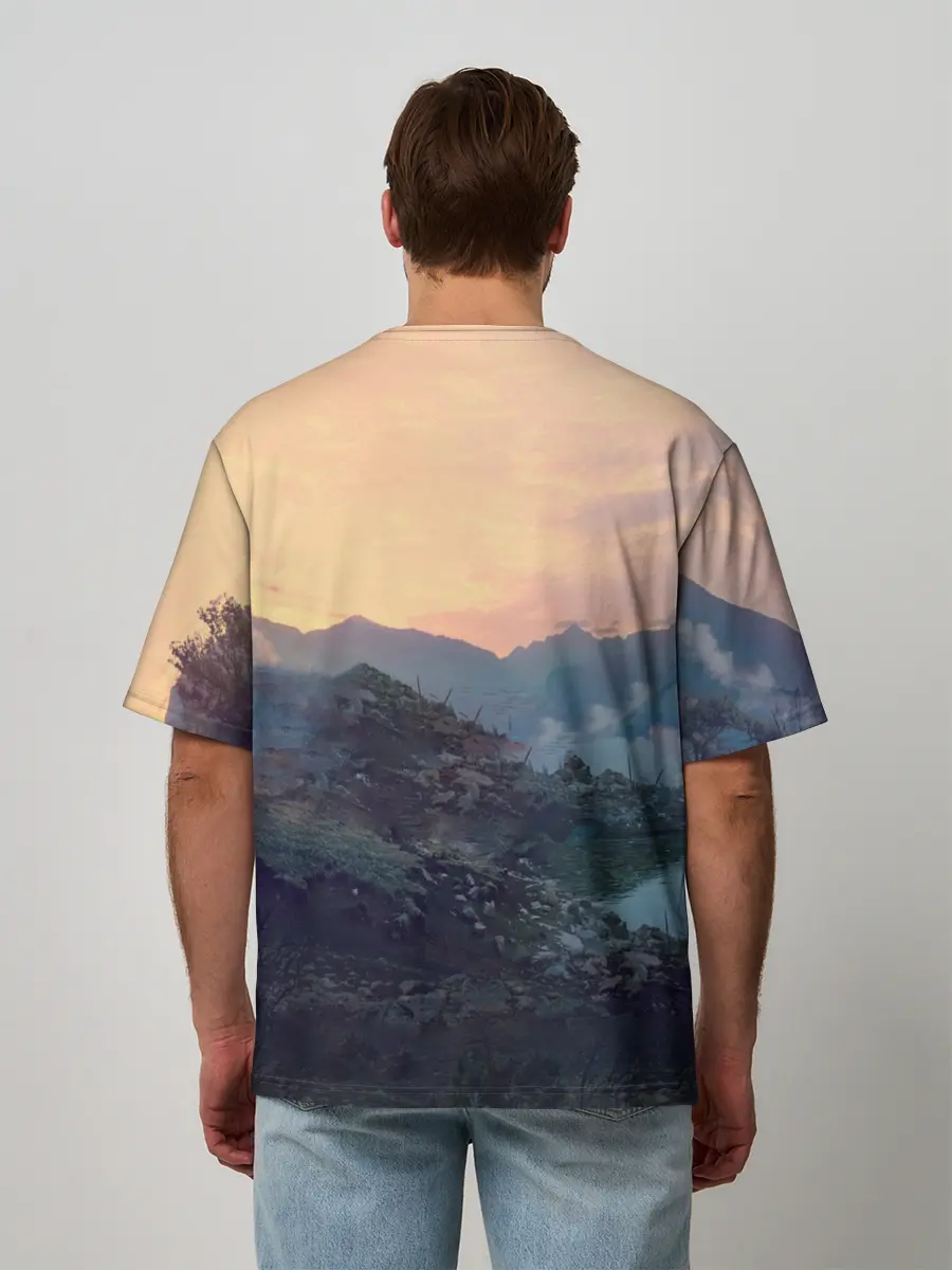 Мужская футболка оверсайз / Танки