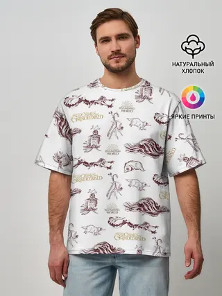 Мужская футболка оверсайз / Fantastic Beasts