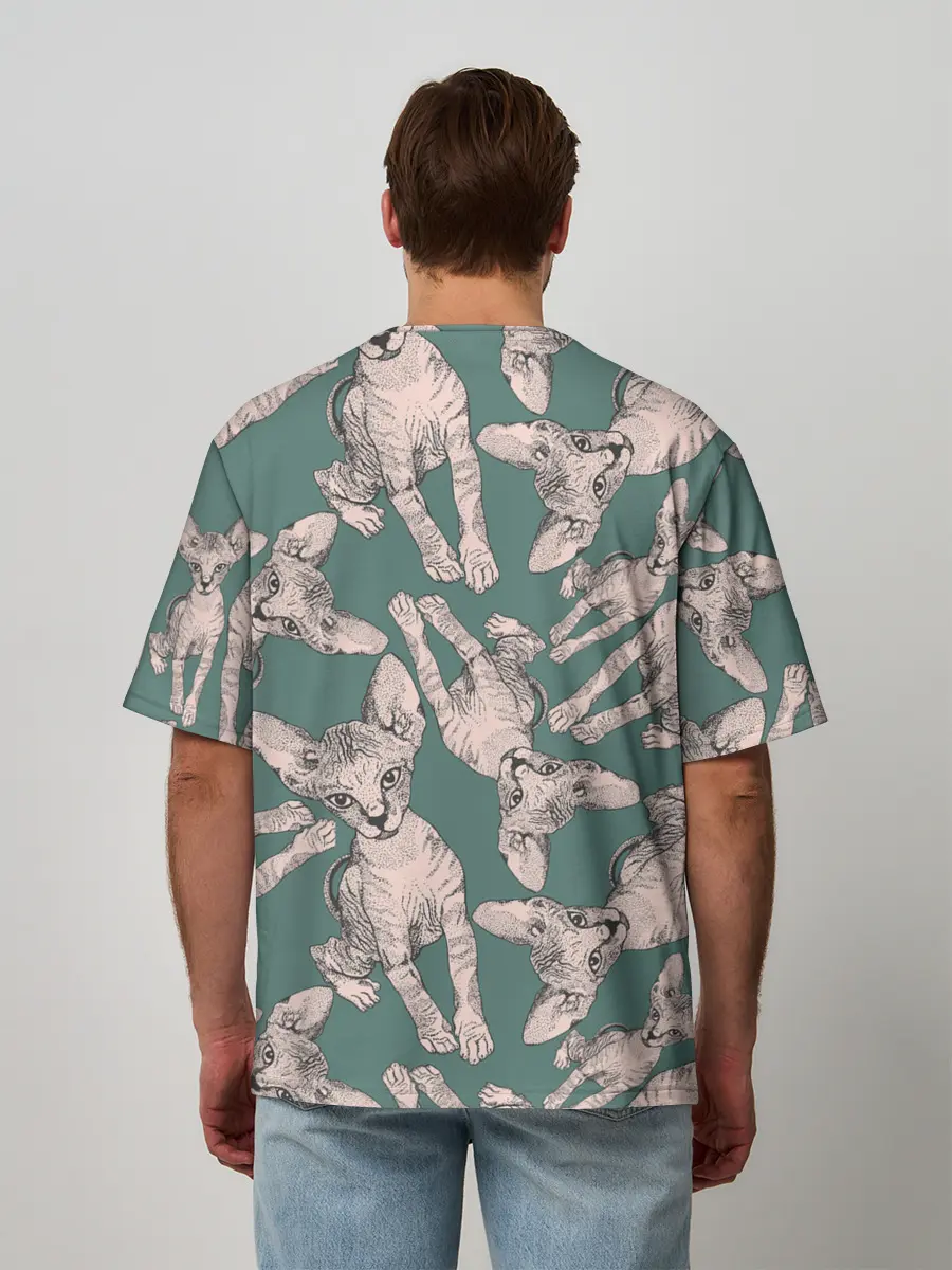 Мужская футболка оверсайз / Котёнок сфинкса