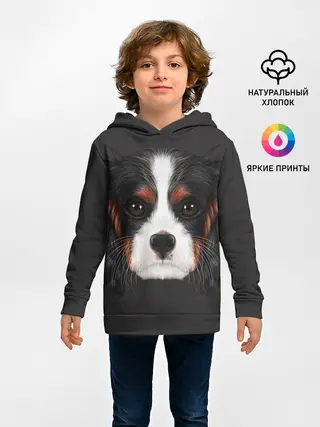 Детское худи / Cavalier King Charles