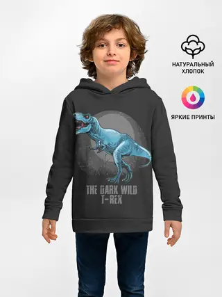Детское худи / Dinosaur t-rex