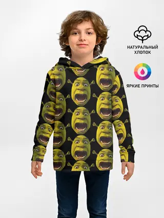 Детское худи / ШРЕК НАВСЕГДА