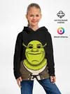 Детское худи / Шрэк