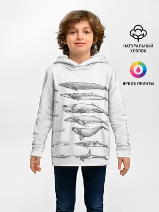 Детское худи / киты графика