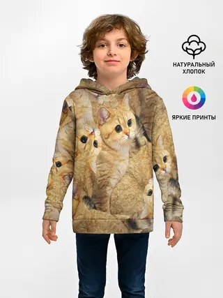 Детское худи / КОТЯТУШКИ