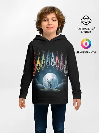 Детское худи / Покемон Эволюция Иви