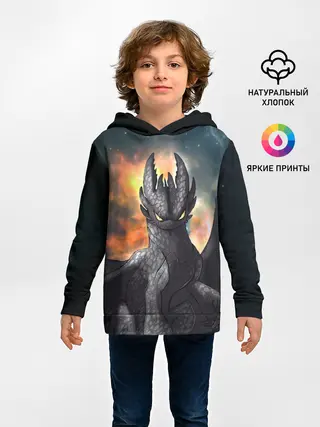 Детское худи / Night Fury