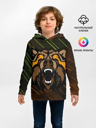 Детское худи / Angry Bear