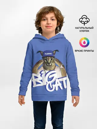 Детское худи / Big Cat Floppa