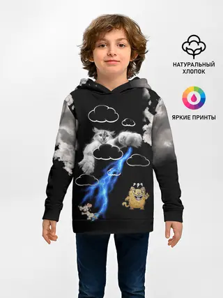 Детское худи / Грозовой, кошак