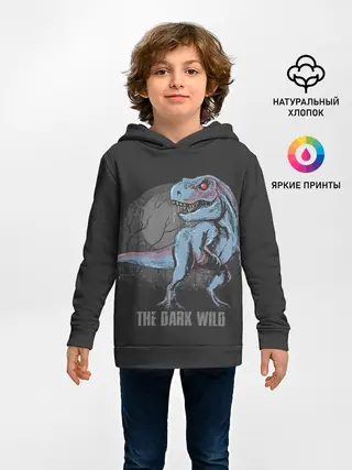 Детское худи / T Rex