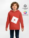 Детское худи / Roblox