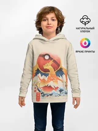 Детское худи / Чаризард и покебол