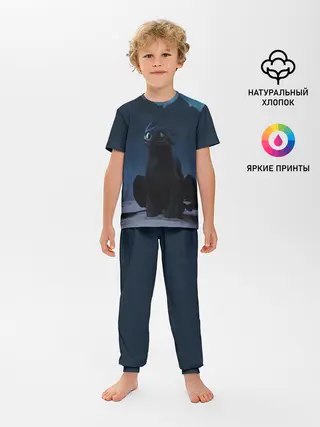 Детская пижама с брюками / Беззубик:Ночная Фурия