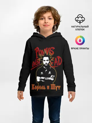 Детское худи / Punks Not Dead