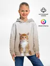 Детское худи / бело-рыжий котенок реализм