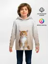 Детское худи / бело-рыжий котенок реализм