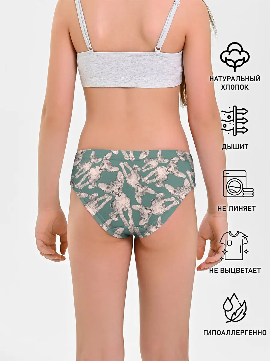 Трусы для девочек / Котёнок сфинкса