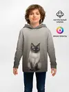 Детское худи / Сиамский кот голубые глаза