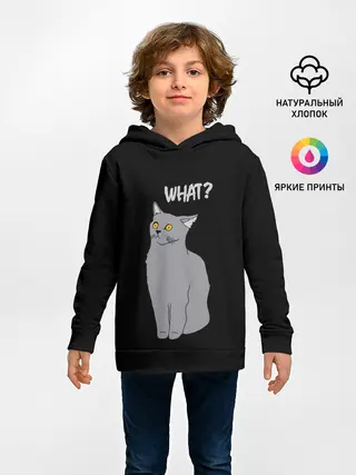 Детское худи / What cat