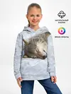 Детское худи / Спящий Волк
