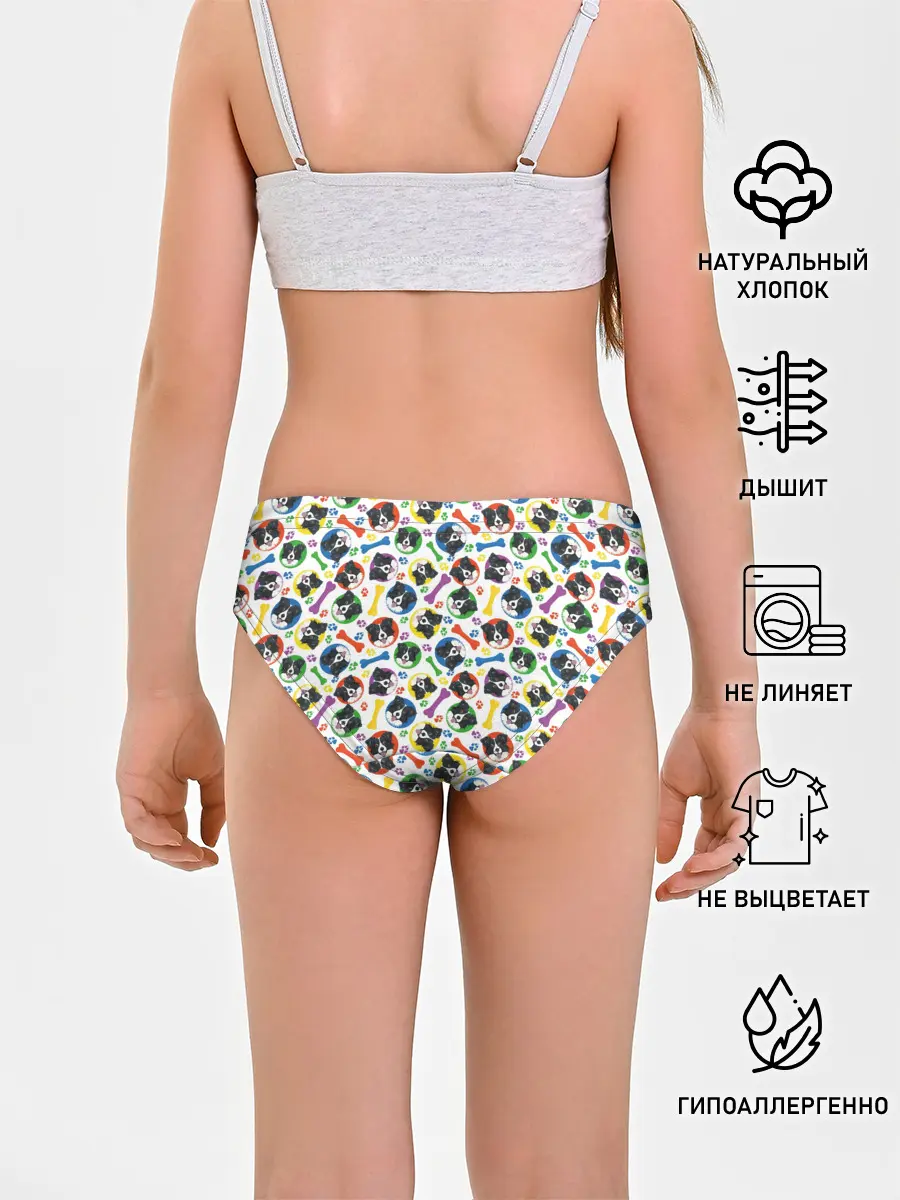 Трусы для девочек / Бордер-Колли