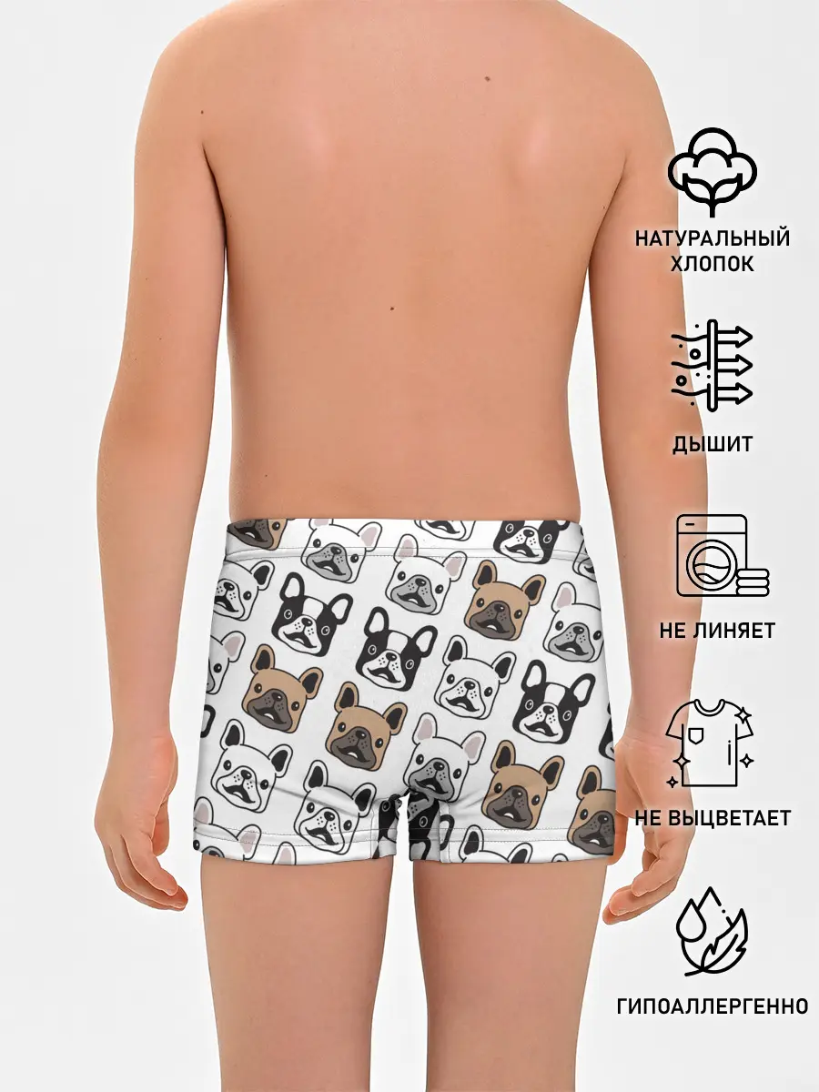 Трусы для мальчиков / БОСТОН ТЕРЬЕР | BOSTON TERRIER