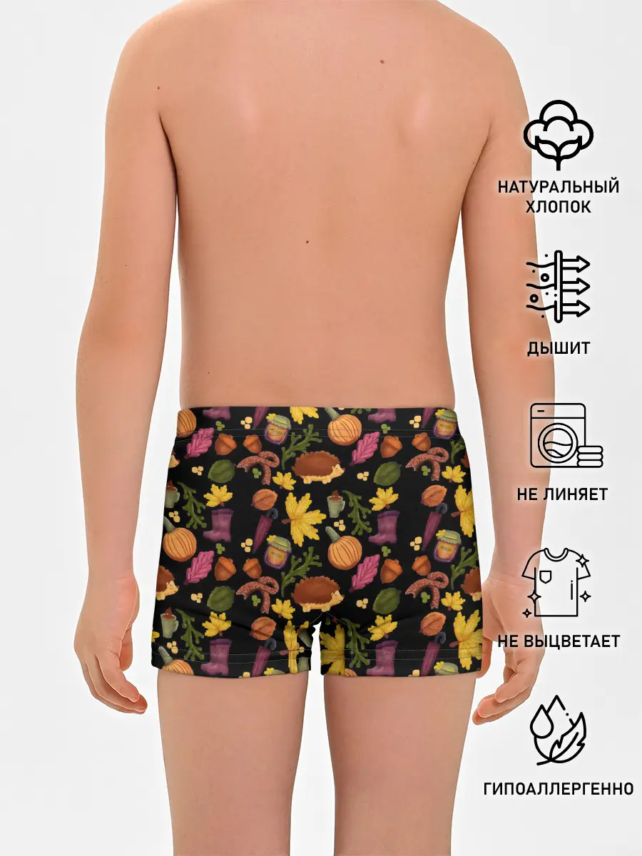 Трусы для мальчиков / Уют, ежи, листья и банка варенья