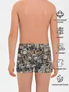 Трусы для мальчиков / Коты разных пород