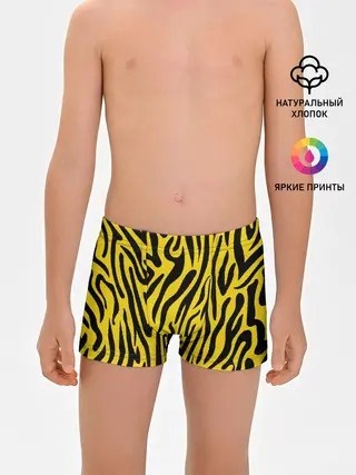 Трусы для мальчиков / Тигровые полоски
