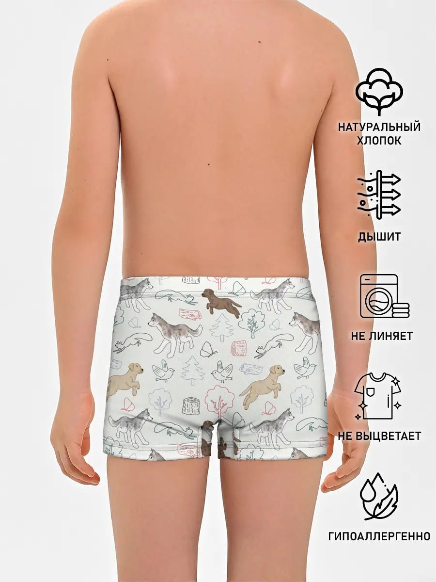 Трусы для мальчиков / Рисунок домашних любимцев