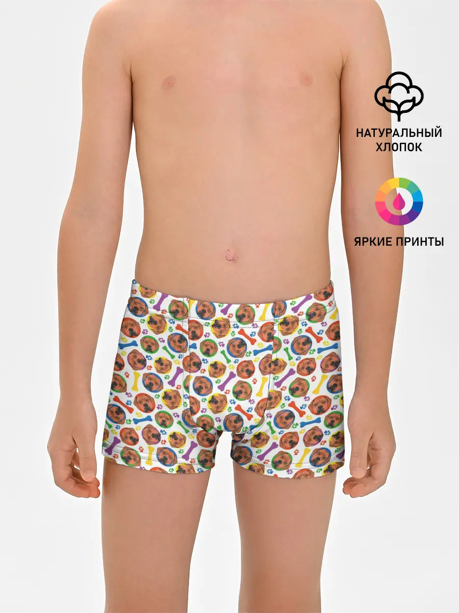 Трусы для мальчиков / Родезийский Риджбек