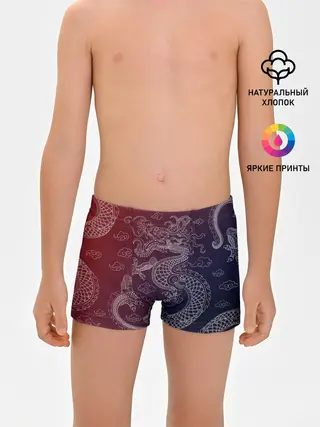 Трусы для мальчиков / Традиционный китайский дракон