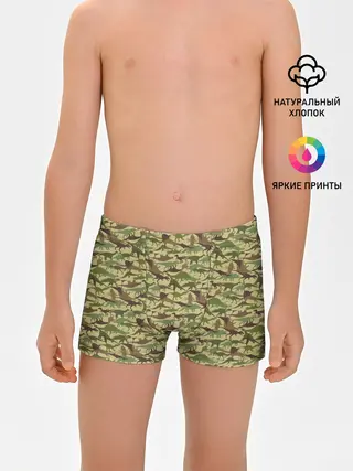 Трусы для мальчиков / Динозавры