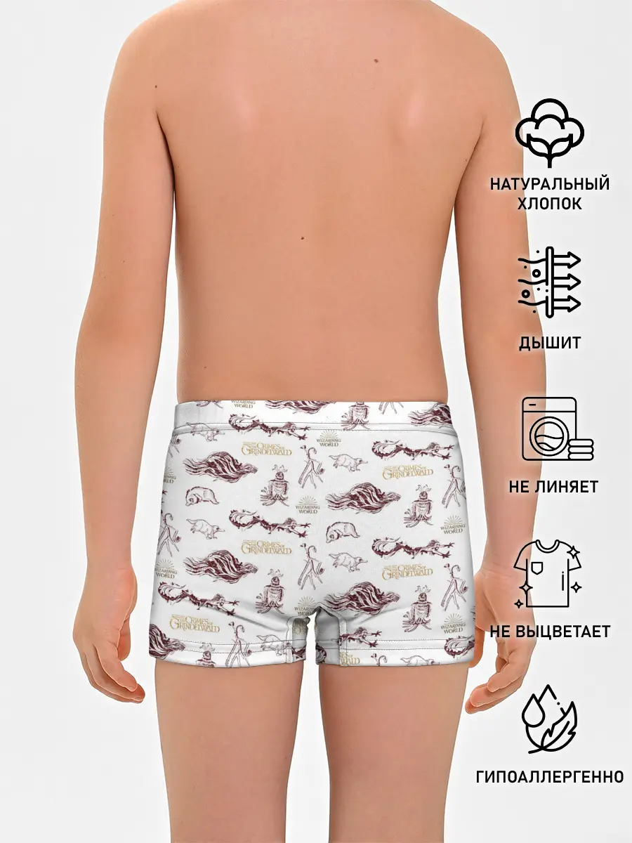Трусы для мальчиков / Fantastic Beasts