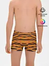 Трусы для мальчиков / Тигровый Раскрас