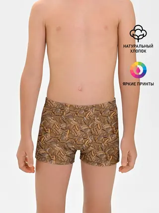Трусы для мальчиков / Кофейные Зёрна