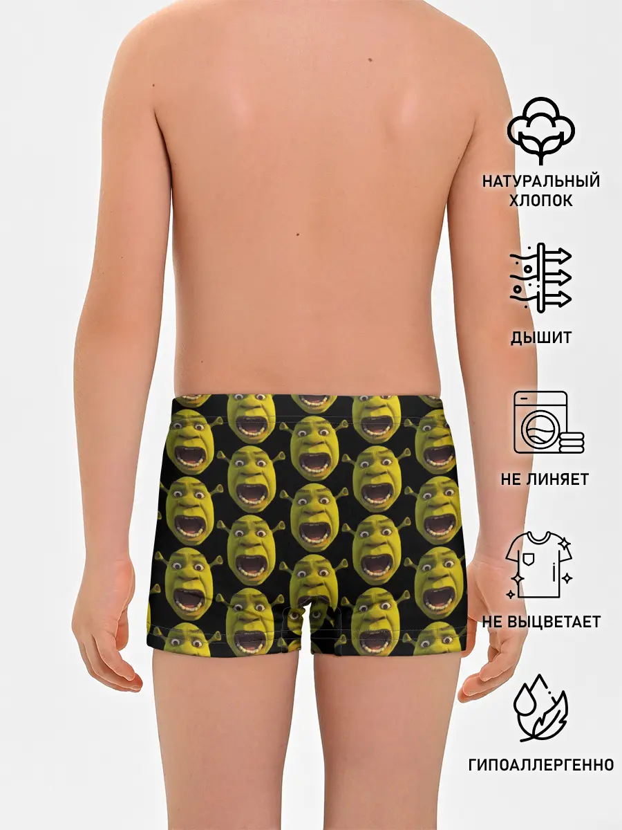 Трусы для мальчиков / ШРЕК НАВСЕГДА