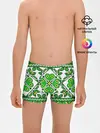 Трусы для мальчиков / Славянский Узор Зеленый