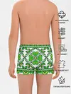 Трусы для мальчиков / Славянский Узор Зеленый