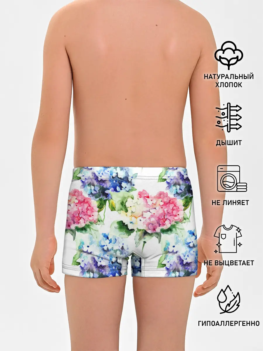 Трусы для мальчиков / Акварель, гортензии