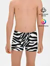 Трусы для мальчиков / Зебра